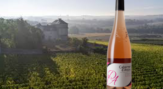 Exklusive Wein-Produkte der EGB